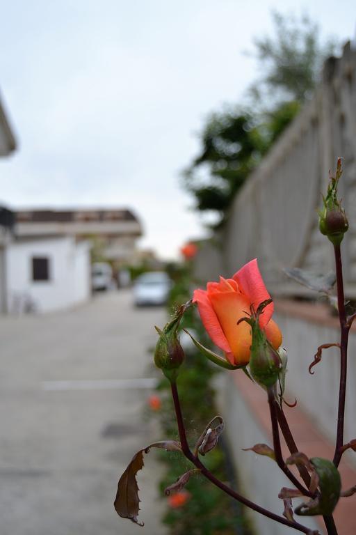 Il Girasole Formia Guesthouse Rooms 外观 照片
