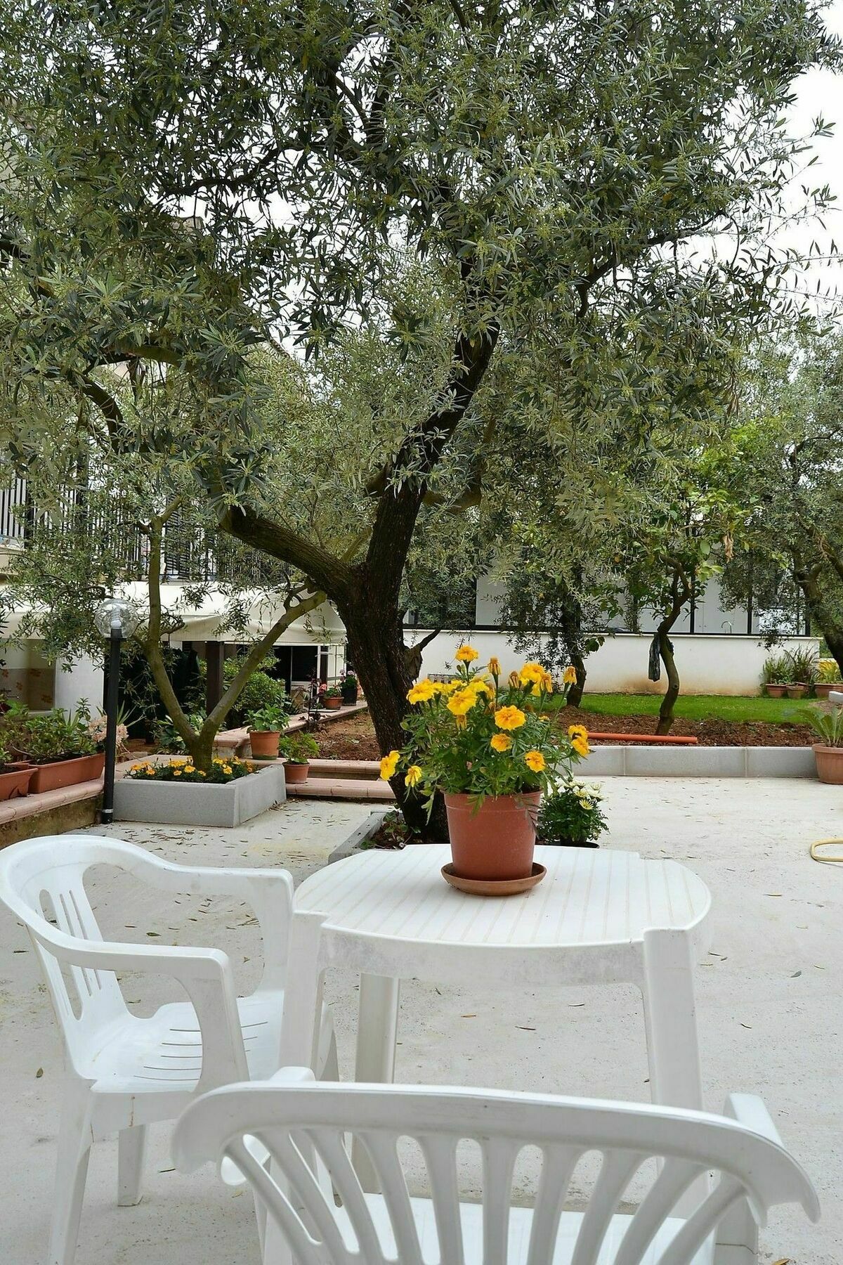 Il Girasole Formia Guesthouse Rooms 外观 照片