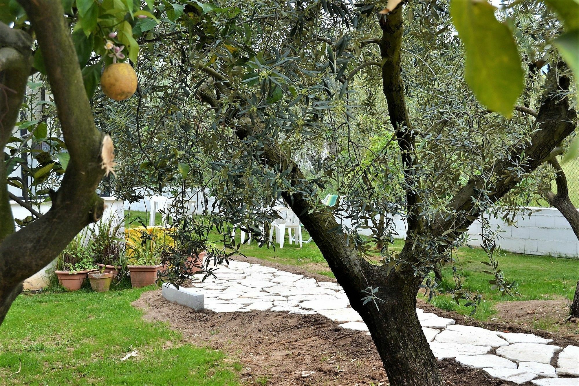 Il Girasole Formia Guesthouse Rooms 外观 照片